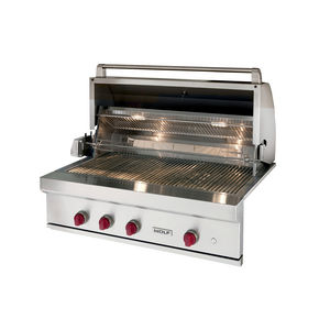 Gas-Gartengrill 1