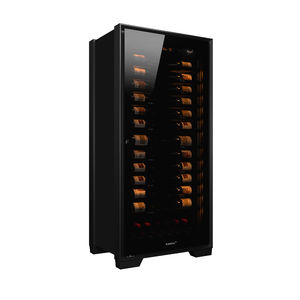 Service-Weinkühlschrank 1