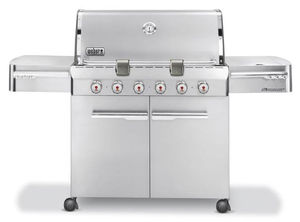 Gas-Gartengrill 1