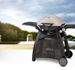 Gas-Gartengrill