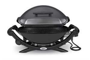 Elektro-Gartengrill 1