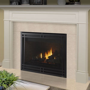 Gaskamin - TWILIGHT - heatilator - modern / geschlossene Feuerstelle