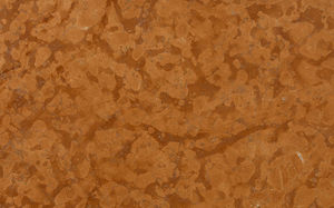 Natursteinplattenbelag 1