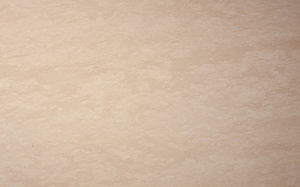 Natursteinplattenbelag 1