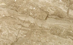 Natursteinplattenbelag 1