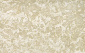 Natursteinplattenbelag 1