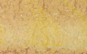 Natursteinplattenbelag 1