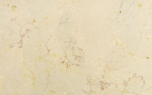 Natursteinplattenbelag 1
