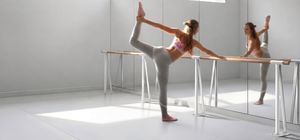Ballettstange 1