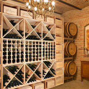 wandmontierter Weinkühlschrank