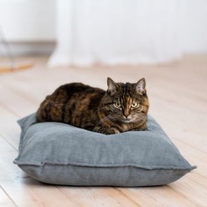 Kissen für Haustiere (Hund und Katze)