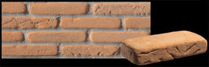 wandmontierter Ziegel 1