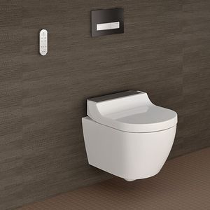 Dusch-WC 1
