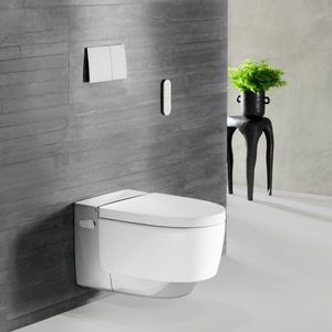 Dusch-WC 1