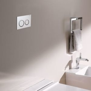 doppelter WC-Spülknopf 1