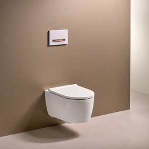 wandhängendes WC 1
