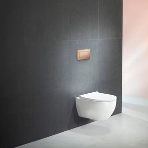 doppelter WC-Spülknopf