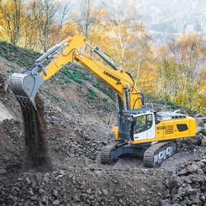 Bagger auf Raupen 1