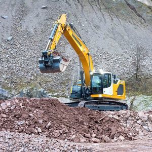 Bagger auf Raupen 1