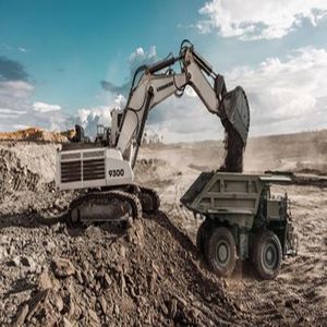Bagger auf Raupen 1
