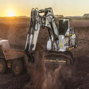 Bagger auf Raupen 1