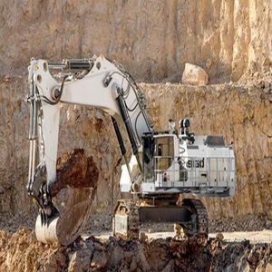 Bagger auf Raupen 1