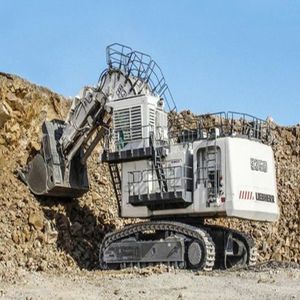 Bagger mit hoher Nutzlast 1