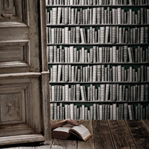 Tapete / originelles Design / Vinyl / Bücherregale / 3-D Effekt
