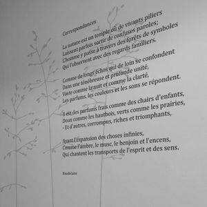 Text-Wandtattoo