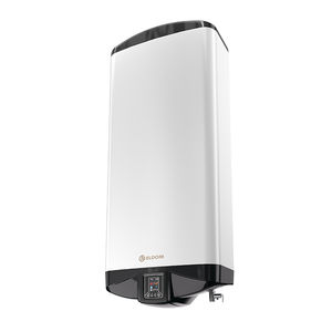 elektrischer Warmwasserbereiter 1