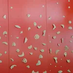 festinstallierte Kletterwand 1