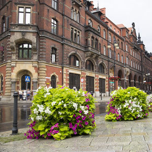 Pflanzkübel / verzinkter Stahl