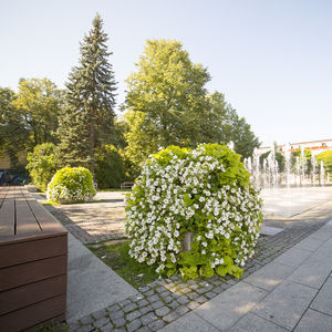 Blumenturm / galvanisiertem Stahl 1