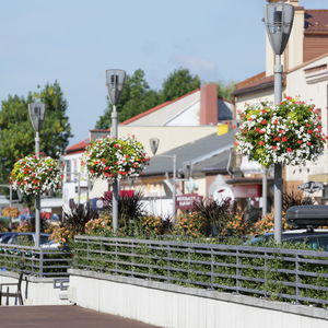 Hängendes Pflanzgefäß / galvanisiertem Stahl