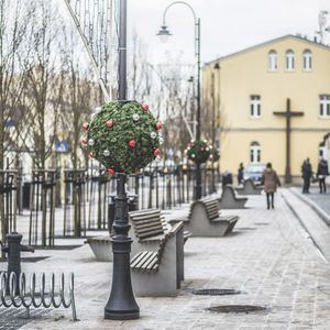 Weihnachts-Leuchtdekoration / für öffentliche Bereiche