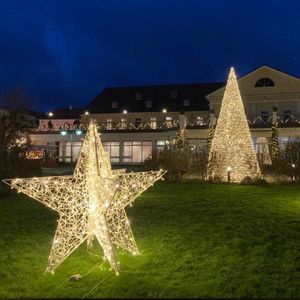 Weihnachts-Leuchtdekoration / LED 1