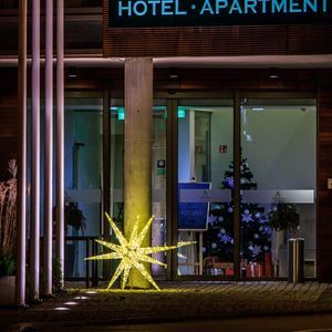 Weihnachts-Leuchtdekoration / LED 1
