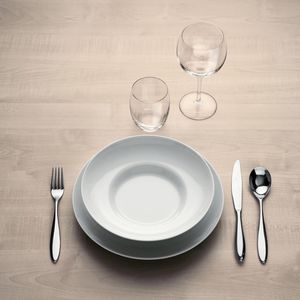 Flache-Teller / Service / Dinner / hohl
