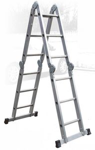 Professionelle Leiter / Arbeit
