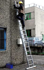 Professionelle Leiter / Arbeit