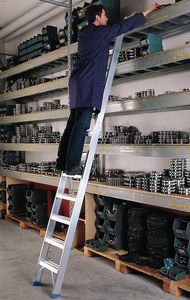 Professionelle Leiter / Arbeit