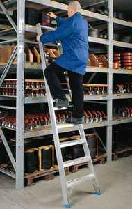 Professionelle Leiter / Arbeit 1