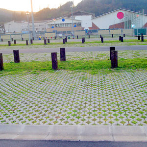 Beton-Rasengitterplatte