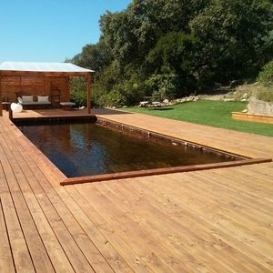 natürliches Schwimmbecken