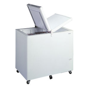 Profi-Gefrierschrank