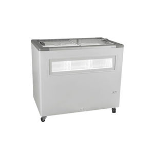Profi-Gefrierschrank
