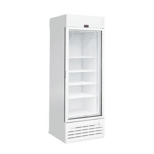 Profi-Kühlschrank