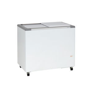 Profi-Gefrierschrank