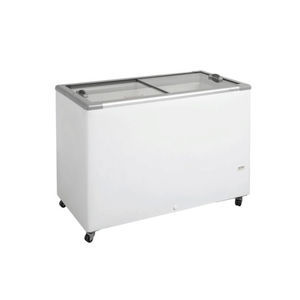 Profi-Gefrierschrank