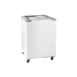 Profi-Gefrierschrank
